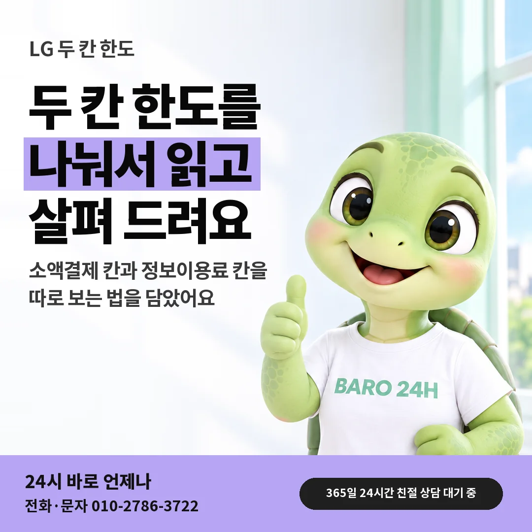 BARO 24H 티셔츠를 입은 3D 거북이 캐릭터 옆에 「LG 두 칸 한도 나눠 보기」 제목을 얹은 안내 카드